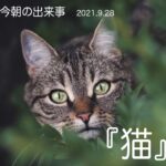 【今朝の出来事　2021.9.28】